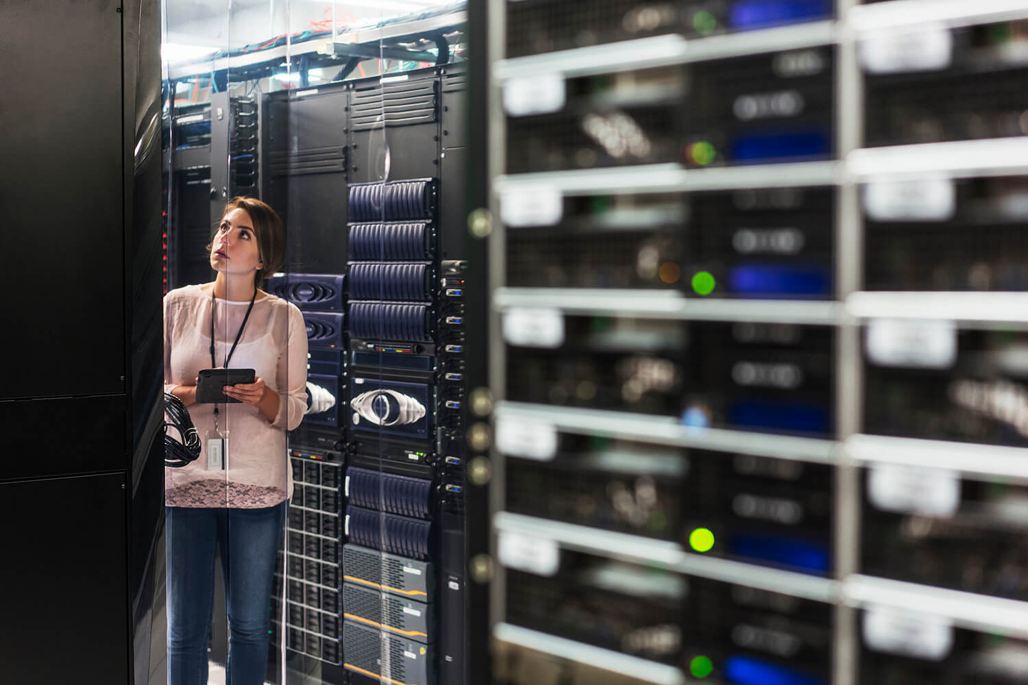 Pentesting, Chicken Guns, and Mike Tyson